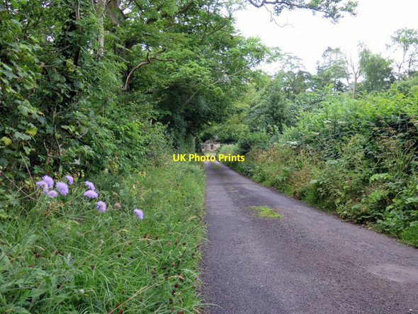 Photo 6"x4" Minor road north of Chesters Chollerford c2015