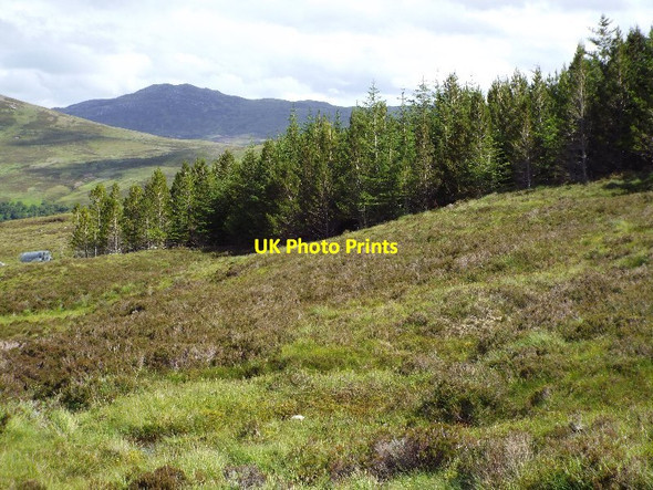 Photo 6"x4" North-east corner of plantation below Cioch Mhor near Glencalvie Lodge Amatnatua c2015