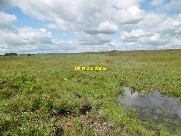 Photo 6"x4" Holbury Purlieu, bog Little Holbury c2015