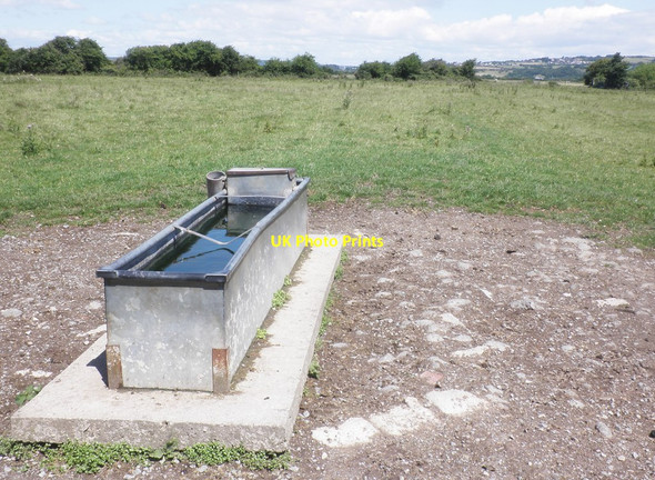 Photo 6"x4" Cattle trough, near Wick Farm Batch c2015