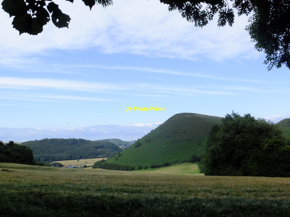 Photo 6"x4" Herrock Hill from the edge of Navages Wood Lower Harpton c2015
