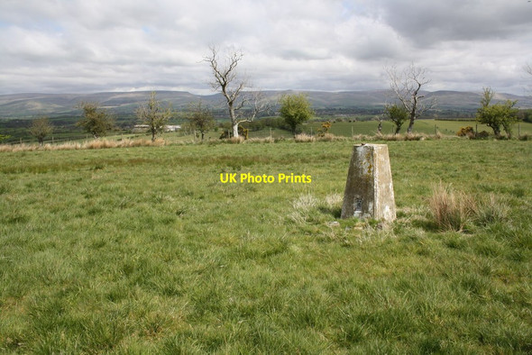 Photo 6"x4" Jerusalem trig point on Fouson's Rigg Colby\/NY6620 c2015