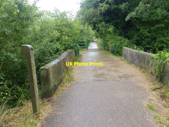 Photo 6"x4" Trent Valley Way along the River Trent Beeston\/SK5236 c2015