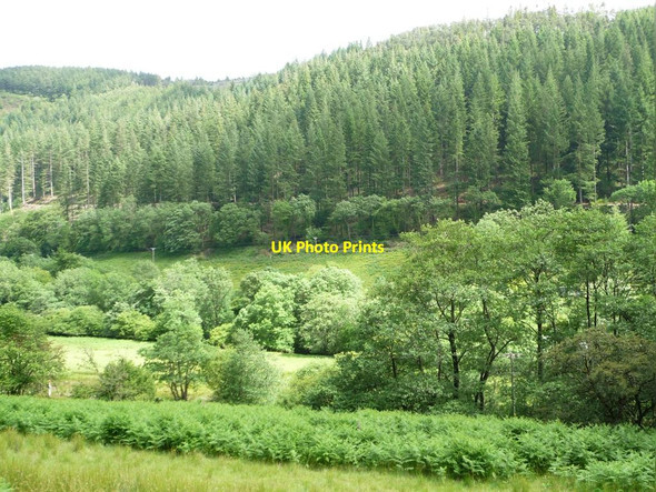 Photo 6"x4" The valley of Afon Dulas, looking east Esgairgeiliog c2015