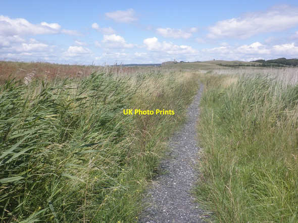Photo 6"x4" Access path, Bleadon Levels Nature Reserve Uphill\/ST3158 c2015