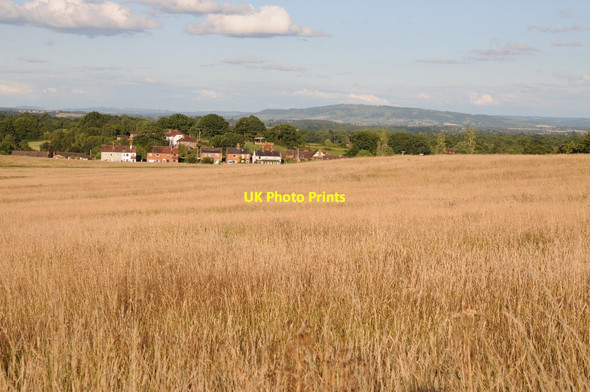 Photo 6"x4" Malvern Common Great Malvern c2015