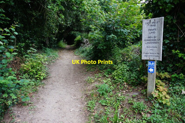 Photo 6"x4" Dart Valley Trail Dartmouth c2015