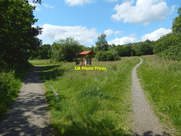 Photo 6"x4" Information boards in Duchess Park Helensburgh c2015