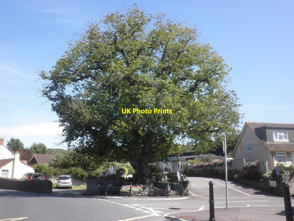 Photo 6"x4" Crossroads, Hutton Hutton\/ST3558 c2015