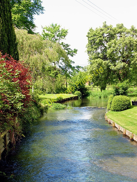 Photo 6"x4" The Lambourn River Woodspeen c2005