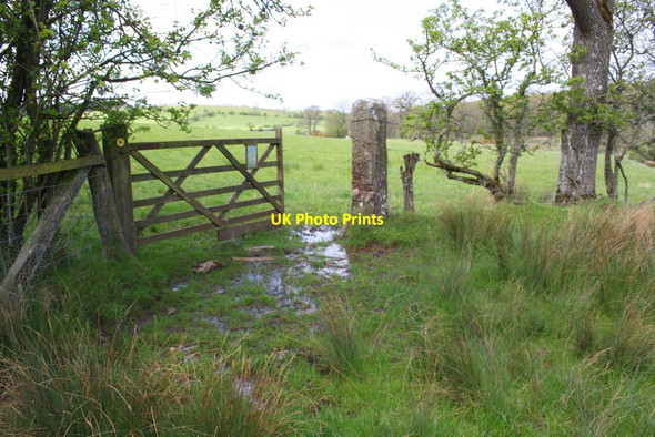 Photo 6"x4" Gateway on muddy track north of Barwise Hall Colby\/NY6620 c2015