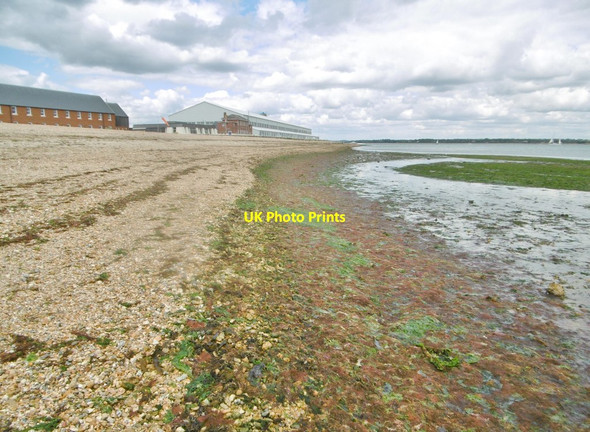 Photo 6"x4" Calshot, algae Calshot c2015