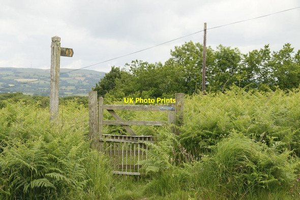 Photo 6"x4" Path across the Road Llandrindod Wells\/Llandrindod c2015