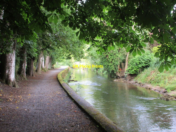 Photo 6"x4" Path alongside the Camcor River Birr c2015