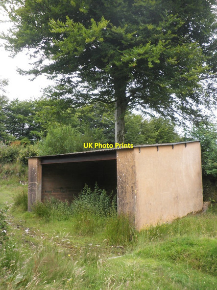 Photo 6"x4" Concrete shed near Brightworthy Withypool c2015