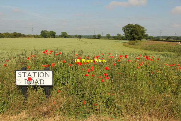 Photo 6"x4" Cottage Field Harby\/SK8770 c2015
