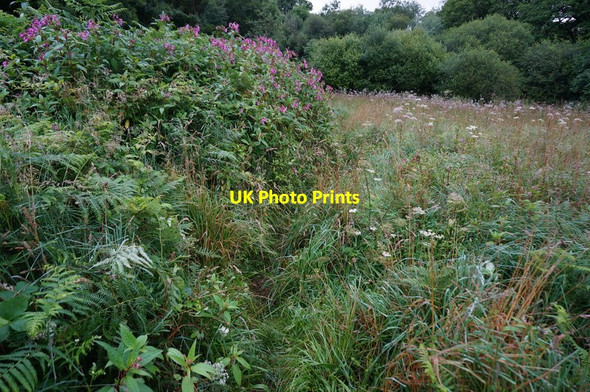 Photo 6"x4" Two Moors Way Higher Dunstone c2015