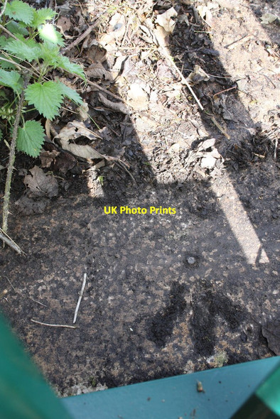 Photo 6"x4" Benchmark on bridge over railway at Lowgill Beck Foot\/SD6196 c2015