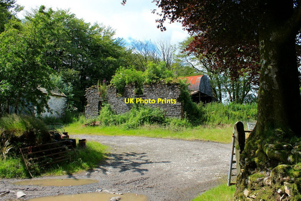 Photo 6"x4" Pant-y-crwys Farm Rhydcymerau c2015