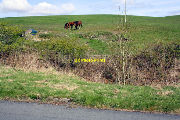 Photo 6"x4" View from Old Scotch Road near Cowperthwaite Beck Foot\/SD6196 c2015