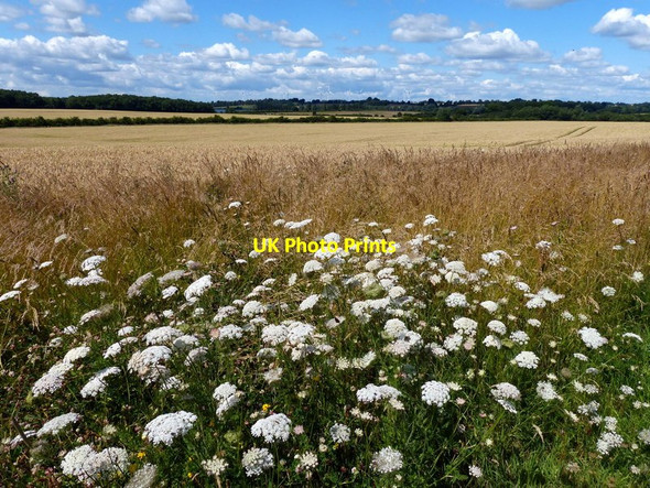 Photo 6"x4" Site of the deserted village of Downtown South Kilworth c2015