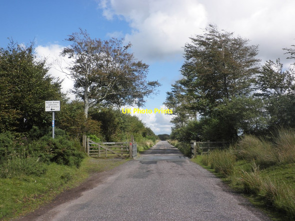 Photo 6"x4" Cattle grid on East Anstey Common Waddicombe c2015