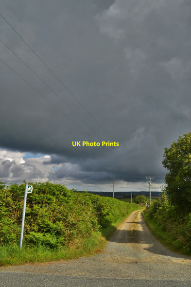 Photo 6"x4" Bridleway to Lamber Hall and Sutton Moor Rosehill\/SM8915 c2015