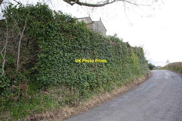Photo 6"x4" Ivy-covered wall of St John's Church graveyard beside B6257 Firbank\/SD6294 c2015