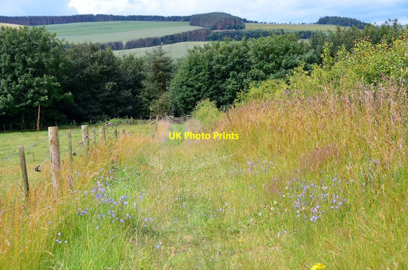 Photo 6"x4" Path descending Huntshaw Hill Craigsford Mains c2015