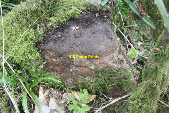 Photo 6"x4" Benchmark on rock beside Shacklabank Lane near Moss Foot High Oaks\/SD6291 c2015