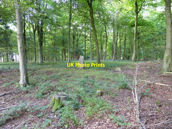 Photo 6"x4" Triangulation pillar on West Harting Down 2015 (2) South Harting c2015
