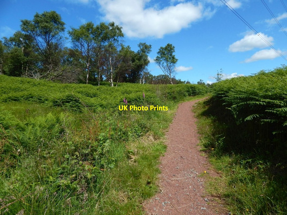 Photo 6"x4" Path to Craigton Bearsden c2015