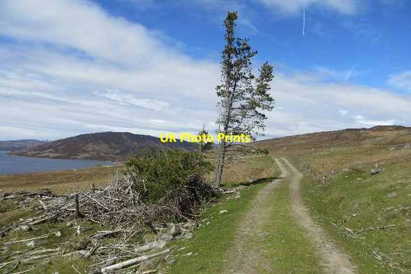 Photo 6"x4" Loch Con road Trinafour c2015