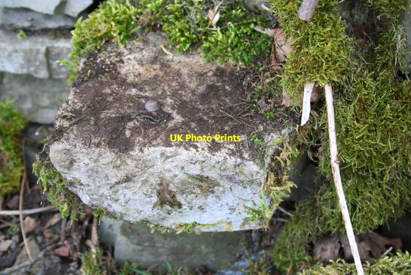 Photo 6"x4" Benchmark on wall beside Old Scotch Road at Powson Plantation Beck Foot\/SD6196 c2015