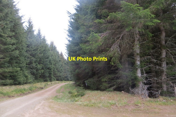 Photo 6"x4" Logging road,Drumcroy Hill Dalriach\/NN7459 c2015