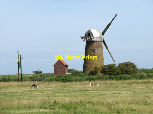 Photo 6"x4" Heigham Holmes drainage windpump Damgate\/TG4519 c2015