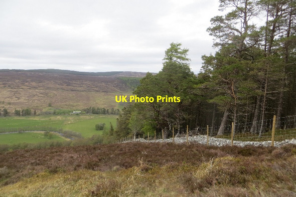 Photo 6"x4" New fence, Big Wood Trinafour c2015