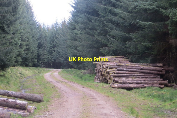 Photo 6"x4" Logging road on Drumcroy Hill Dalriach\/NN7459 c2015
