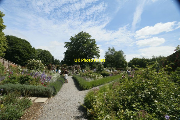 Photo 6"x4" Paths in the Garden Lower Brook c2015