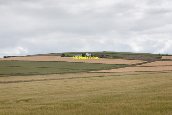 Photo 6"x4" Fields below Upper Craighill Arbuthnott c2015