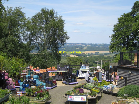 Photo 6"x4" Petals for Plants garden centre Burwash Common c2015