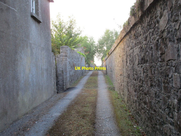 Photo 6"x4" Dr. Waters Lane Birr c2015