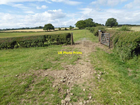 Photo 6"x4" The Leeds country way Wike c2015