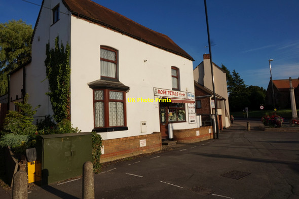 Photo 6"x4" Rose Petals on Hinckley Road, Coventry Woodway Park c2015