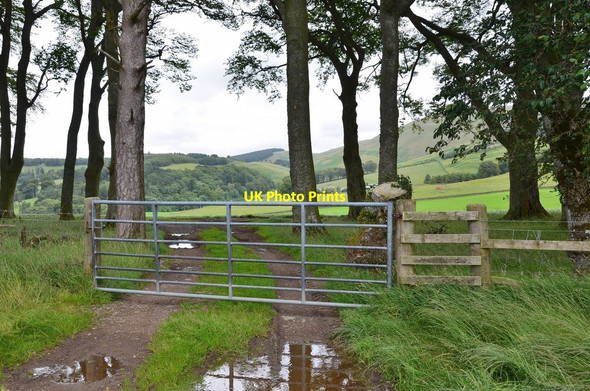Photo 6"x4" Farm gate above Boreland Eddleston c2015