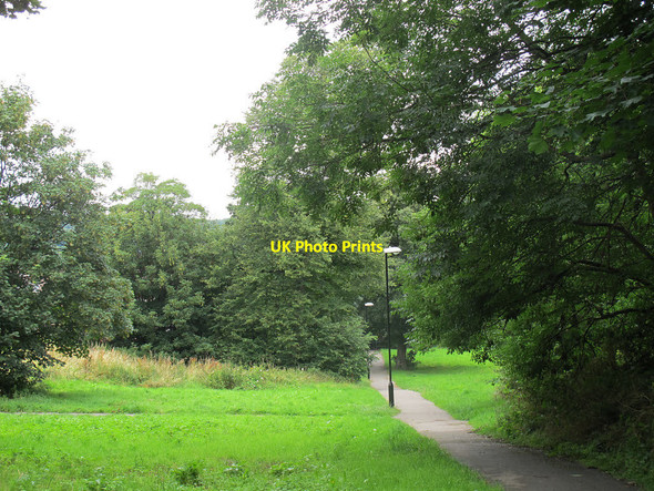 Photo 6"x4" Path through Houghley Gill Hill Top\/SE2534 c2015