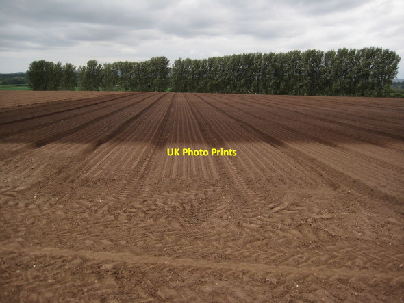 Photo 6"x4" Partially irrigated field Birch Green\/SO8545 c2015