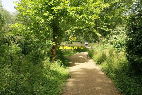 Photo 6"x4" Walk near the Stream Mottisfont c2015