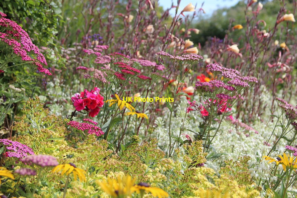 Photo 6"x4" Merriments gardens Hurst Green\/TQ7327 c2015