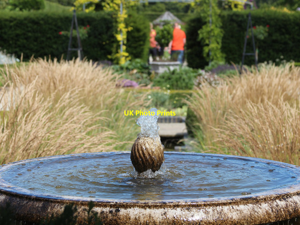 Photo 6"x4" Merriments gardens Hurst Green\/TQ7327 c2015 P1